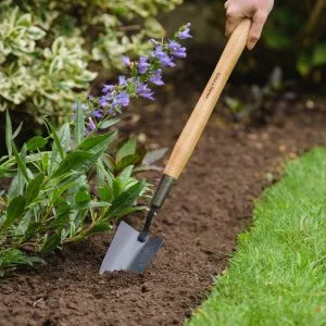 Carbon Steel Border Hand Trowel in Soil