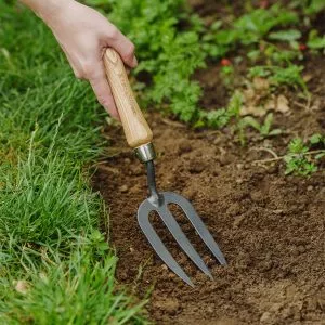 Carbon Steel Hand Fork in soil