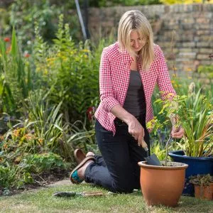 Carbon Steel Hand Trowel used for planting up pot