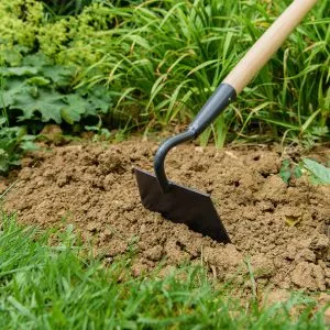 Kent & Stowe Carbon Steel Long Handled Draw Hoe in soil