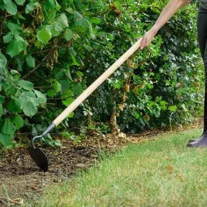 Kent & Stowe Carbon Steel Long Handled Heart Shaped Hoe in soil