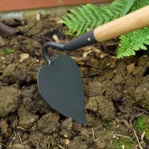 Kent & Stowe Carbon Steel Long Handled Heart Shaped Hoe in soil