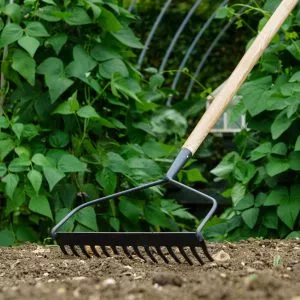 Kent & Stowe Carbon Steel Long Handled Soil Rake in soil