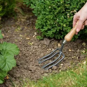 Carbon Steel Round Tined Hand Fork in soil