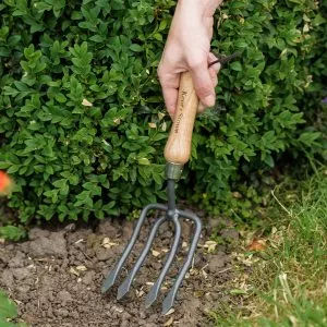 Carbon Steel Round Tined Hand Fork in soil