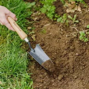 Carbon Steel Transplanting Trowel in soil