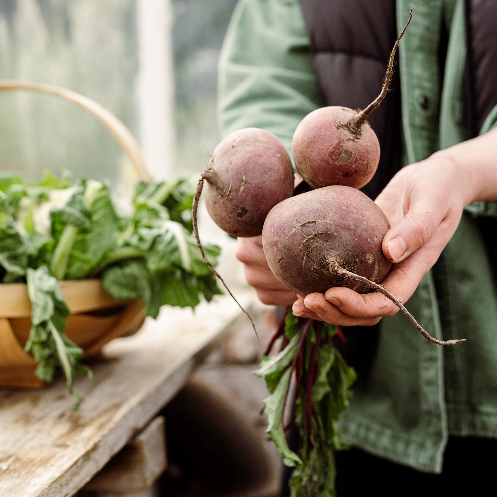 may gardening jobs