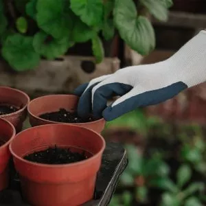 Navy Natural Bamboo Gloves