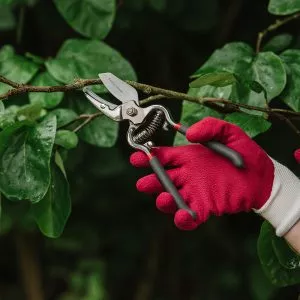 Rumba Red Natural Bamboo Gloves