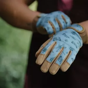 Blue Premium Comfort Gloves