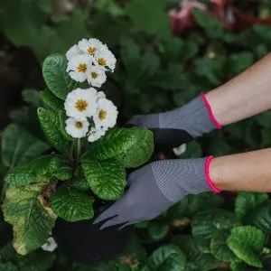 Premium Seed and Weed Gloves