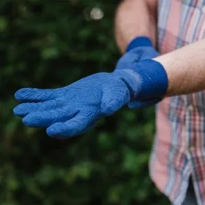 putting on navy ultimate all round gardening gloves