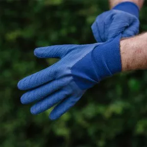 putting on navy ultimate all round gardening gloves