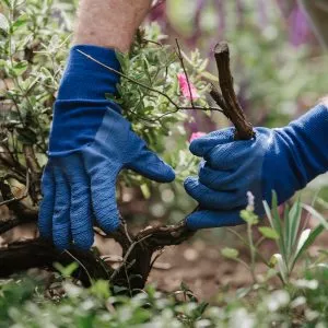 navy ultimate all round gardening gloves gardening tasks