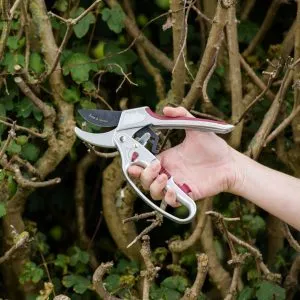 Kent & Stowe 2 in 1 Ratchet Secateurs in use