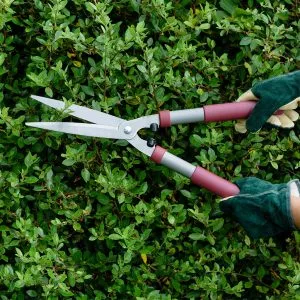 garden life lighter hedge shears in use