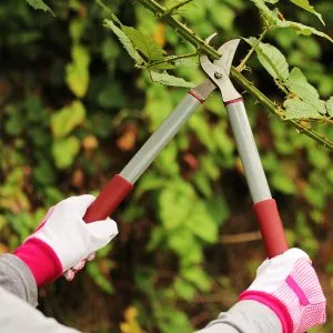 garden life lighter bypass loppers in use