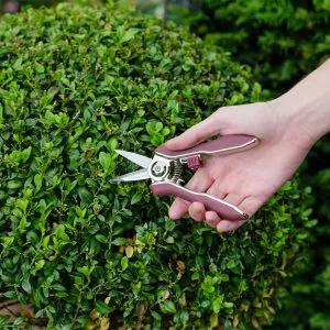 garden life lightweight snips in use