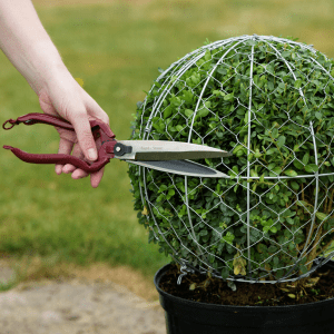 kent and stowe perennial hand shears in use