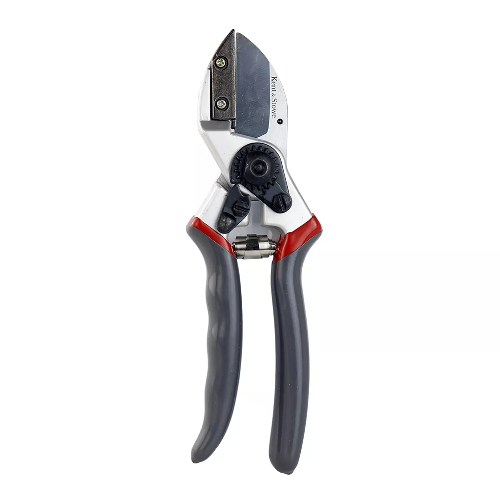 Kent & Stowe Professional Anvil Secateurs out of pack