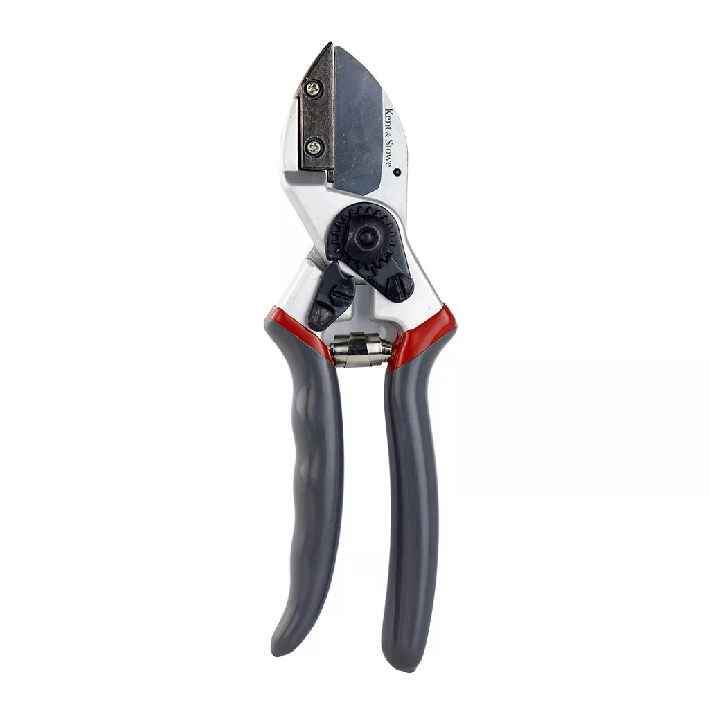 Professional Anvil Secateurs