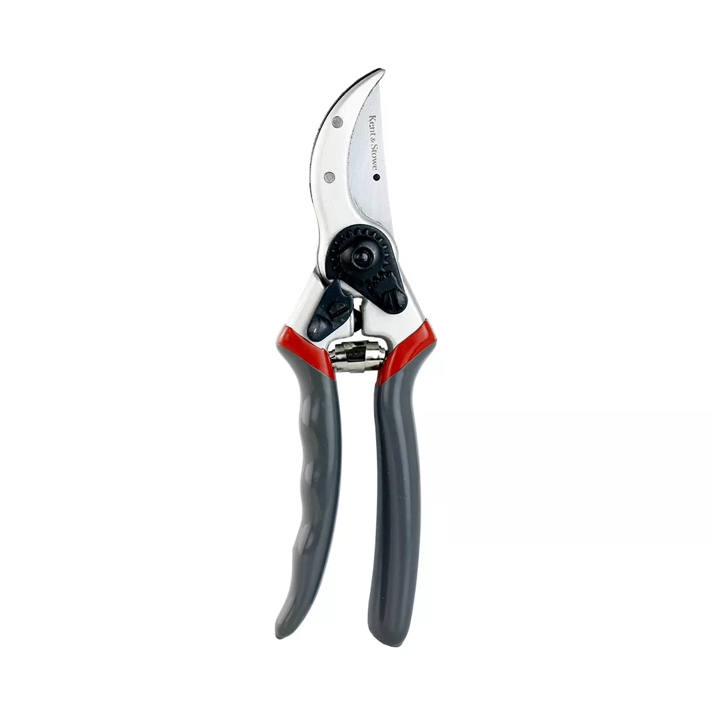 Kent & Stowe Professional Bypass Secateurs out of pack