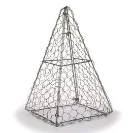 Pyramid Topiary Frame