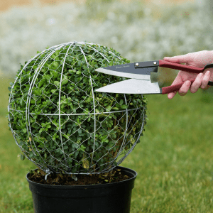 Kent & Stowe small topiary shears in use