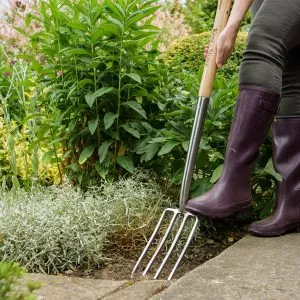 Kent & Stowe Stainless Steel Border Fork in use