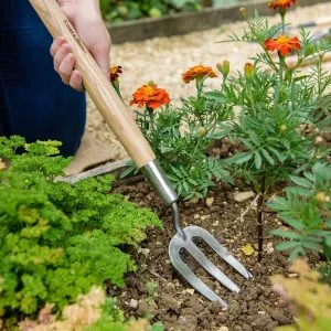 kent & stowe border hand fork soil