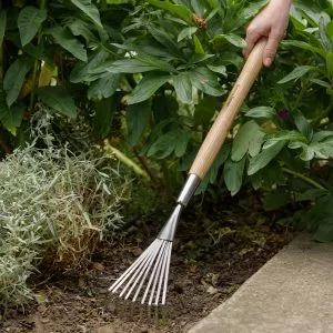 Stainless Steel Border Shrub Rake in soil