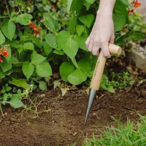 Stainless Steel Dibber in soil