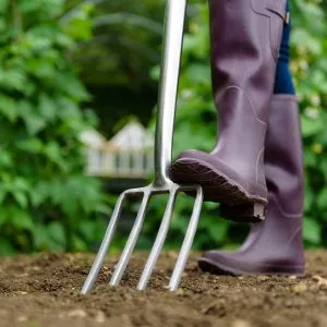 Kent & Stowe stainless steel digging fork in use