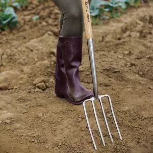 Kent & Stowe stainless steel digging fork in use