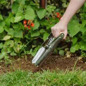 Stainless Steel Bulb Planter in soil