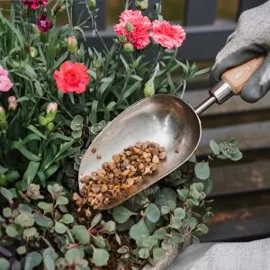 kent & stowe stainless steel hand potting scoop in use