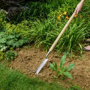 Kent & Stowe Stainless Steel Long Handled 2 in 1 weeder