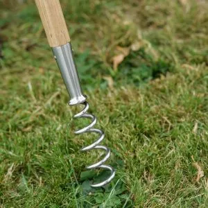 kent & stowe stainless steel long handled corkscrew weeder in use