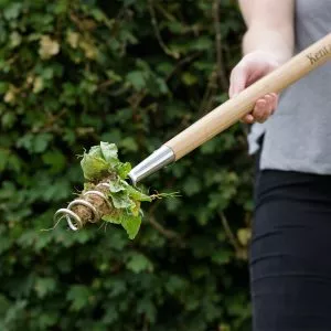 kent & stowe stainless steel long handled corkscrew weeder in use