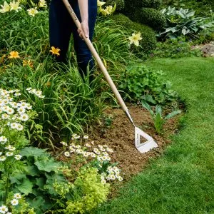 Kent & Stowe stainless steel long handled dutch hoe in use