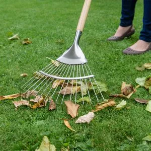 kent & stowe stainless steel long handled lawn/leaf rake in use