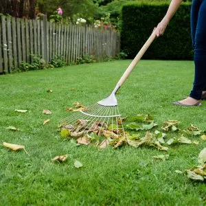 kent & stowe stainless steel long handled lawn/leaf rake in use