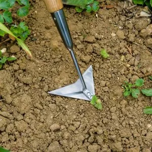 Kent & Stowe Stainless Steel Long Handled Multi Weeder in soil