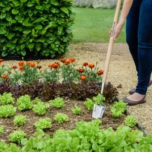 Kent & Stowe stainless steel long handled trowel in use