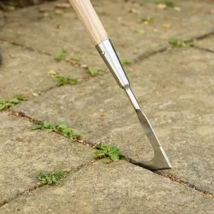 Kent & Stowe Long Handled Weeding Knife in use