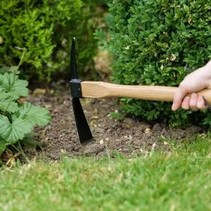 Stainless Steel Hand Pick Mattock in soil