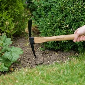 Stainless Steel Hand Pick Mattock in soil