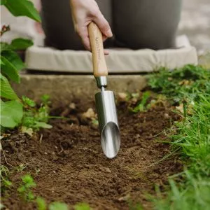 Stainless Steel Small Bulb Planter in soil