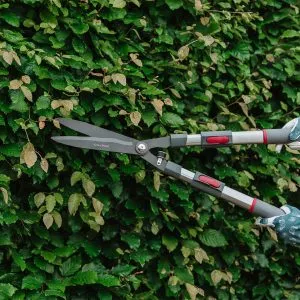 kent & stowe telescopic hedge shears in use