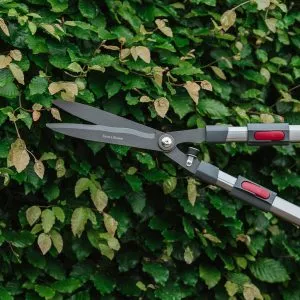 kent & stowe telescopic hedge shears in use